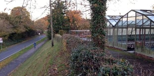 Sign of things to come as nursery cleared for housing