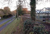 Sign of things to come as Greatham nursery cleared for housing