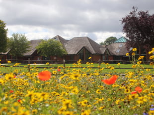 Bees and butterflies find safe haven at a Liphook school