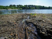 Hundreds of sewage overflows in East Hampshire last year