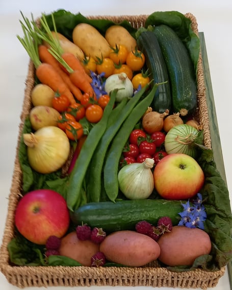 Fruit basket