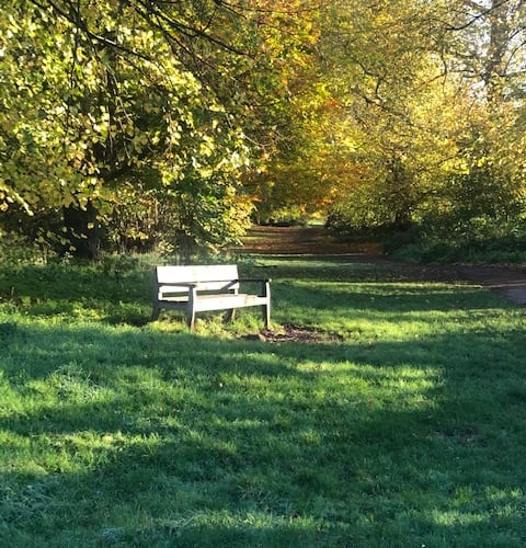 Take a moment to reflect at the new bench dedicated to Elfrida Manning in Farnham Park