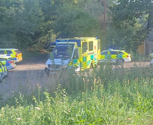 Murder probe launched after toddler dies after being pulled from pond