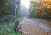 Mountain biking courses have been huge hit at country park