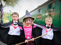 Watercress Line hosting magical train rides for all little wizards