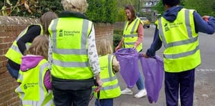 Volunteer litter pickers to sweep through Petersfield