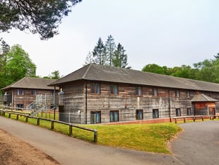 PGL confirms children taken to hospital after tree fall