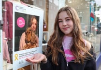 Alton girl Teiva Collins heads children's cancer research campaign 