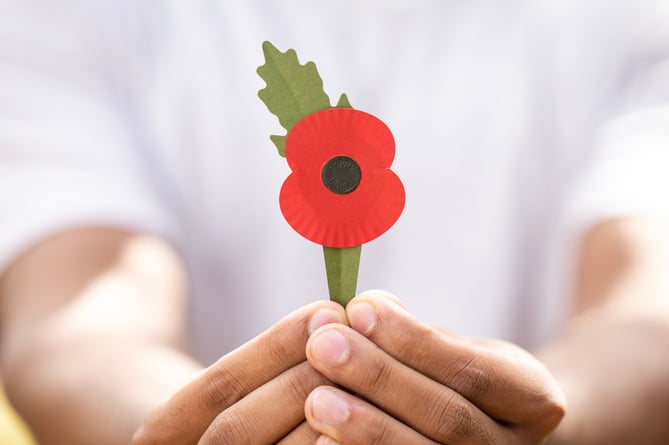 A new Royal British Legion plastic-free poppy