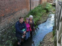 Alton sees fish return to urban section of River Wey