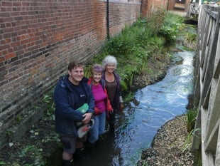 Alton sees fish return to urban section of River Wey