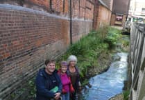 Alton sees fish return to urban section of River Wey