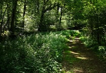 Help Sussex Wildlife expand one of UK's most important nature reserves