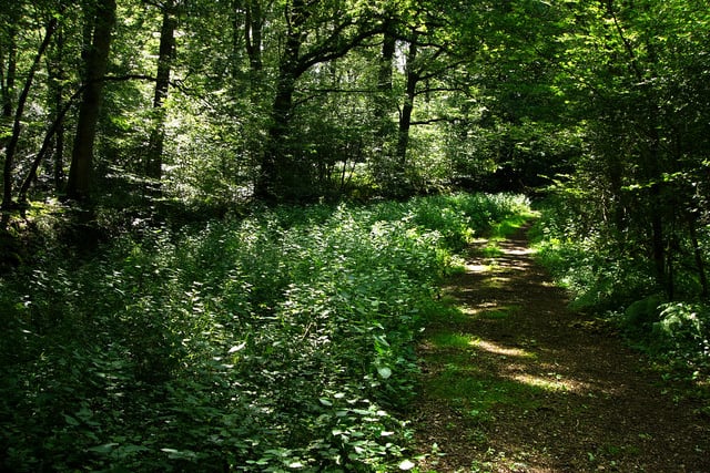 Help Sussex Wildlife expand one of UK's most important nature reserves