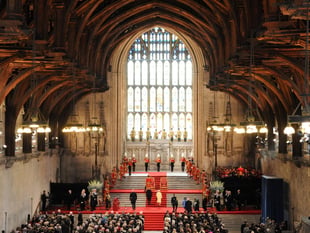Farnham timber oversees 600 years of peace at Westminster Hall