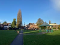 One of Farnham's tallest trees to be felled over safety fears