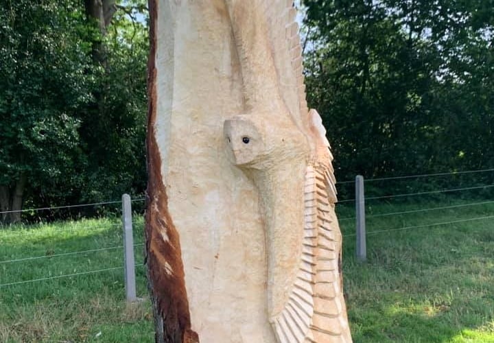A barn owl was carved into a horse chestnut in Frensham in 2021 
