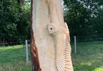Farnham Town Council to spend £8,000 on tree carvings despite backlash