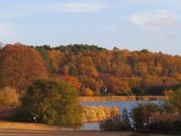 Frensham Ponds' brilliant bogs scoop Loo of the Year award