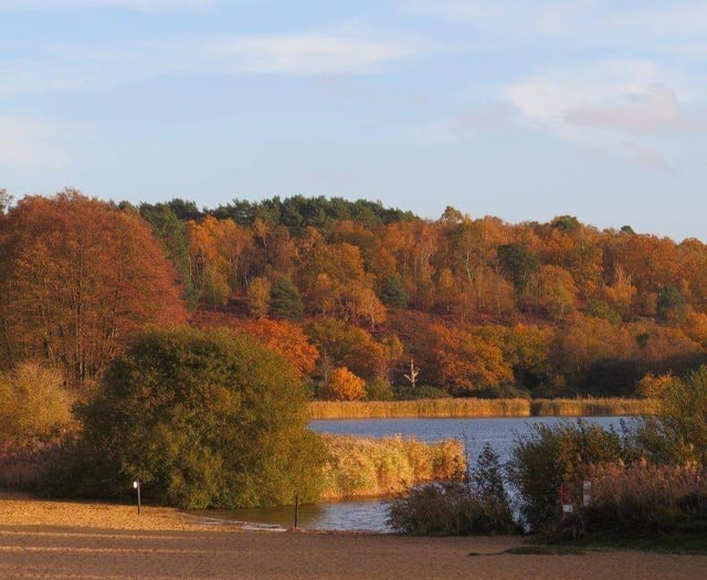 Frensham Ponds' brilliant bogs scoop Loo of the Year award