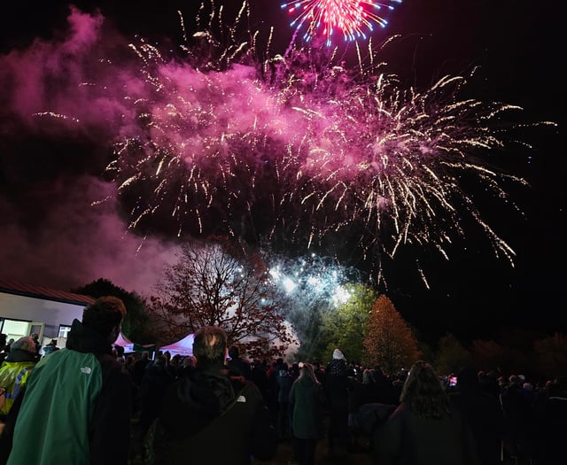 Haslemere Museum's fireworks night sparks big crowd and crucial funds