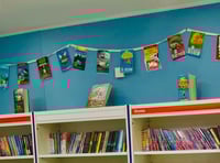 Hampshire library cut debate 