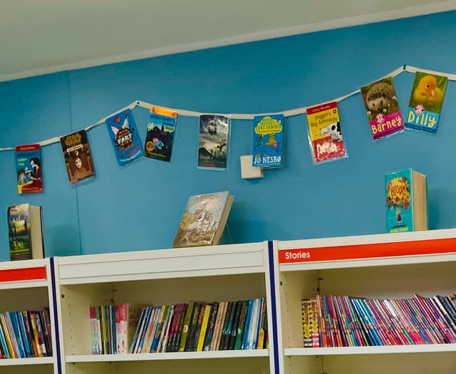 Extra consultation on Hampshire County Council library cuts plan