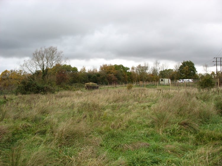 Site of the Badshot Lea neolithic long barrow