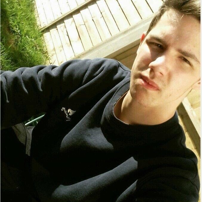 Tom Collins died after a single-vehicle crash on the A31 near Alton on Saturday, October 28