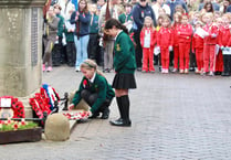 Royal British Legion thank you as Petersfield Poppy Appeal raised £30k