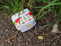 Tice’s Meadow Bird Group: Why we strongly object to McDonald’s