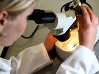 Fewer people in Hampshire completing cervical screenings