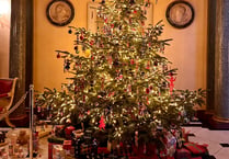 Christmas has begun within National Trust venue Hinton Ampner