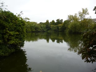 Your letters to the editor: The facts about Kings Pond