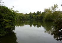 Biodiversity planning law change may fund work at Kings Pond in Alton