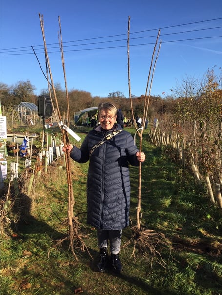 Petersfield Tree Festival PIC