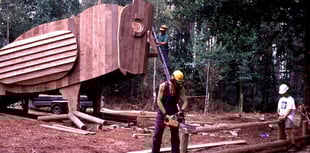 Alice Holt's owl and woodpecker play-sculptures to go after 25 years