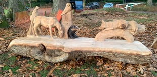 VIDEO: Incredible woodland scene carved into bench in Frensham