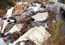 Record number of fly-tipping incidents in East Hampshire last year