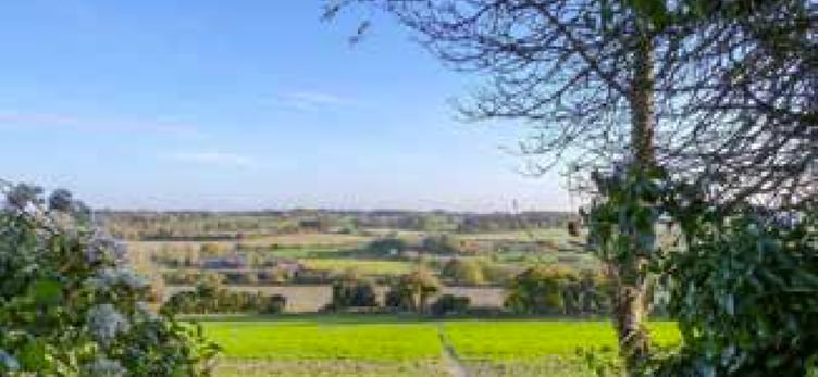 Windmill Hill fields, Alton.
