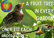 A fruit tree for every Alton garden at less than half price