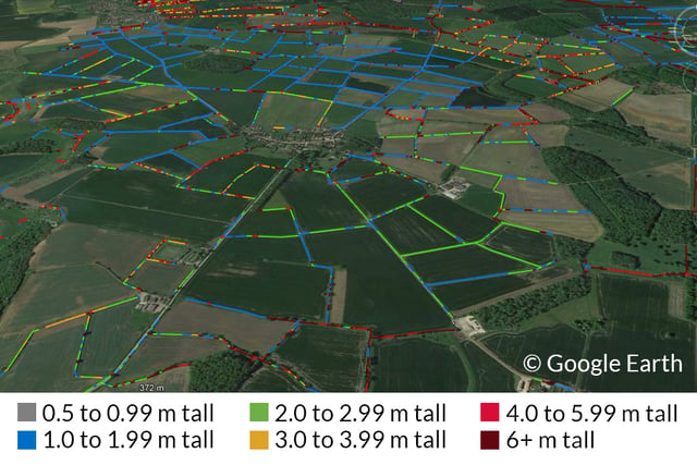 Surrey and Hampshire have the lowest densities of hedgerows in the UK