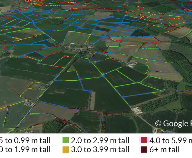 Surrey and Hampshire have the lowest densities of hedgerows in the UK