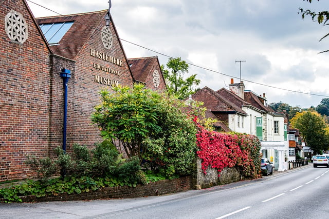 Haslemere museum to host The Twitchers half-term family wildlife trail