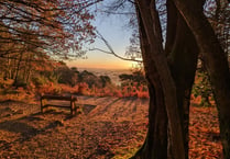 Stunning snaps of Black Down and Hindhead wow National Trust judges