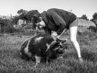 Portraits of Contemporary Farming Life coming to Rural Life museum