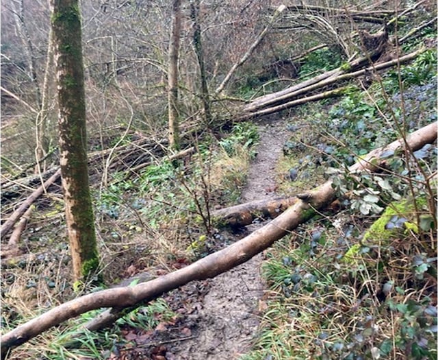 Funding doubts over future of "incredibly dangerous" path near Steep