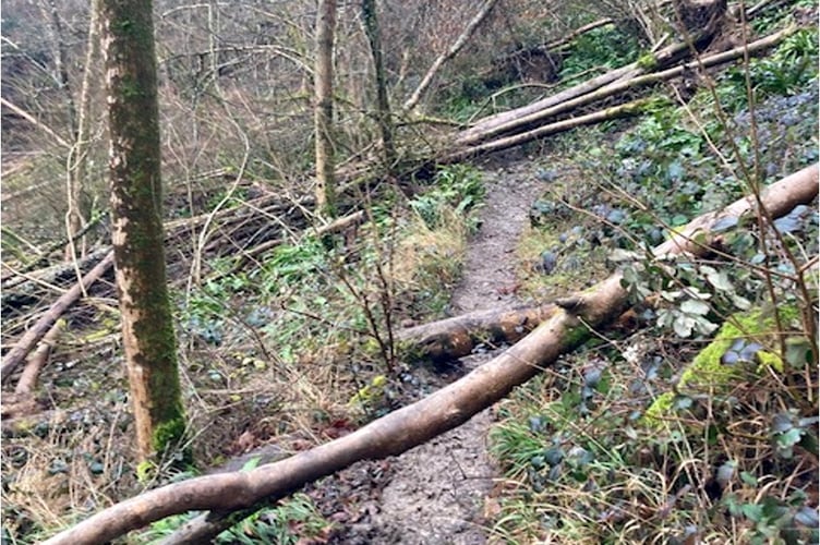 Ashford Hangers path