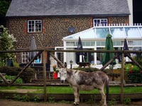 Soon to be closed Donkey pub was once scene of steam engine crash