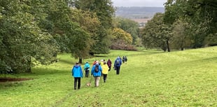 Alton Walking Festival: Gearing up for a feast of walking from April